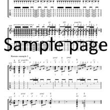 Joonas Widenius - Flamenco guitar lessons VOL 2 sample